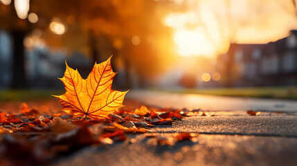 Naklejka na ściany i meble Autumn maple leaves scenery