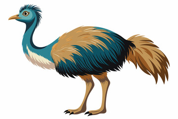 emu vector illustration white background