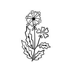 Botanical linear leaf. Abstract minimalist leaves collection, creative herbal art. Vector illustration