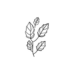 Botanical linear leaf. Abstract minimalist leaves collection, creative herbal art. Vector illustration