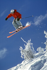 Male freestyle skier flying in the air