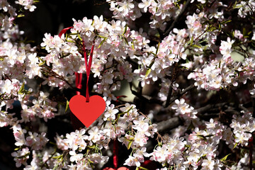 Cardboard Heart on Plastic Branches and Flowers