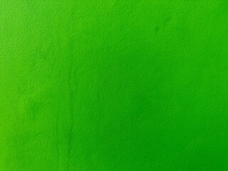 Obraz premium green wall background