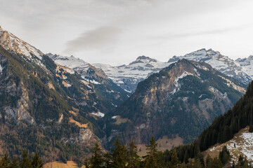 Immerse yourself in the mesmerizing transition between seasons with 