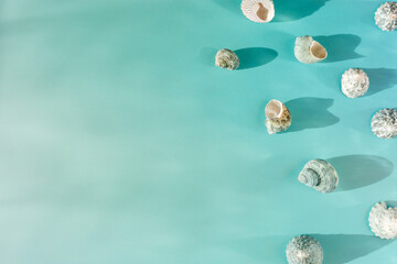 Minimal summer flat lay, abstract background with seashells at sunlight, aesthetic monochrome still life turquoise color, Summer vacation concept, top view natural shells with shadows, copy space