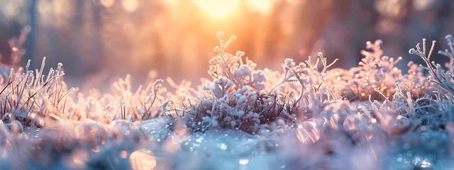  Frozen Nature, Winter Landscape with Ice-Covered Plants © AhmadTriwahyuutomo