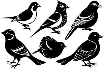 6-birds-different-style-silhouette--vector-illustration