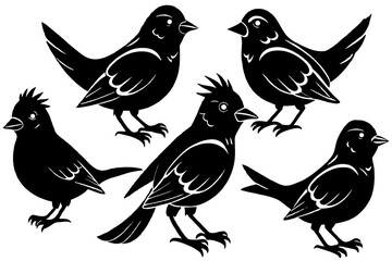 6-birds-different-style-silhouette--vector-illustration