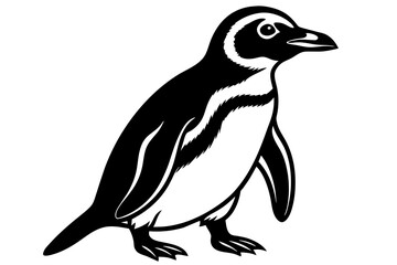 African-penguin--vector-illustration