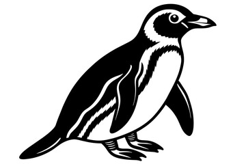 African-penguin--vector-illustration