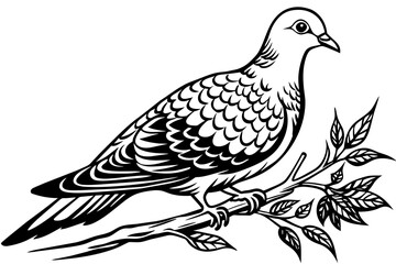 Fototapeta na wymiar dove-sitting-on-tree-branch--vector-illustration