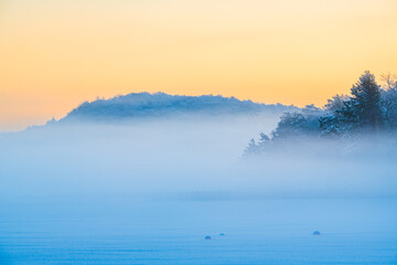 Fototapeta premium Foggy Frozen Lake Surrounded by Trees