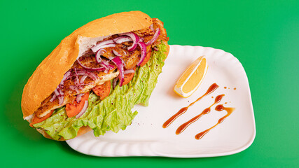Doner kebab on plate isolated on green