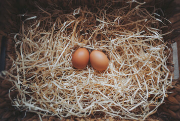 Organic fresh eggs in a straw nest. Easter eggs on wooden straw background in the early morning on...