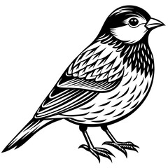    Bird vector illustration.
