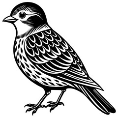    Bird vector illustration.
