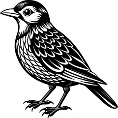    Bird vector illustration.
