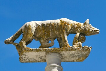 La statue de la louve allaitant Romulus et Rémus devant la cathédrale Santa Maria Assunta à Sienne  - obrazy, fototapety, plakaty
