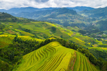 Vietnamese terrace ricefield aerial view - 778325629