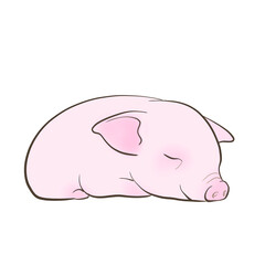 piglet 