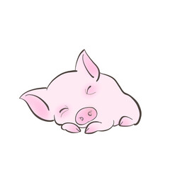 piglet 