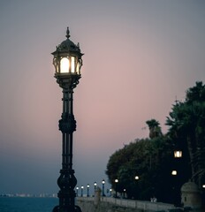 Fototapeta na wymiar Sunset and a lonely lamppost at the avenida Campo del Sur in Cadiz Spain