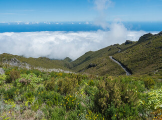 View from hiking trail PR1.2 from Achada do Teixeira to Pico Ruivo, the highest peak in the Madeira, Potugal. Winding asphalt road, green mountains and Atlantic Ocean above the clouds - 778331282