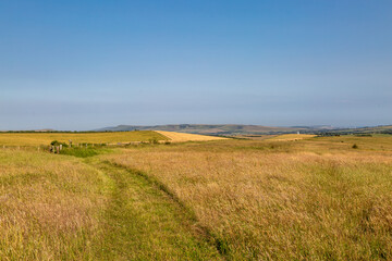 A grass pathway through the Sussex countryside, on a sunny summer's day