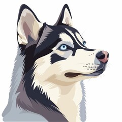 Portrait of an adorable Siberian husky, isolated on a white background, cartoon illustration