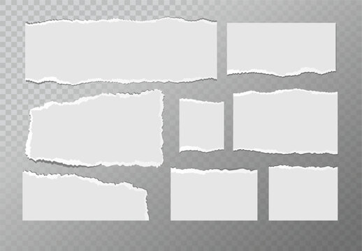 Realistic ripped white paper sheets isolated on transparent background. Torn blank pages with uneven texture. Vector
