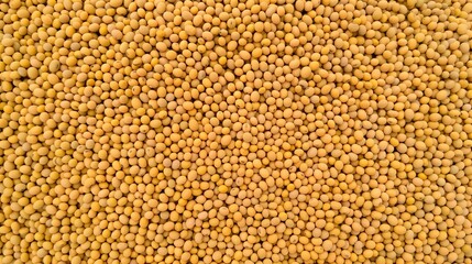Repeated background of soybeans forming a seamless pattern.