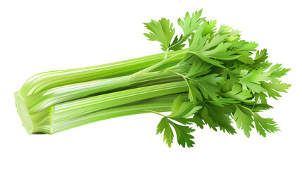 Celery on transparent background