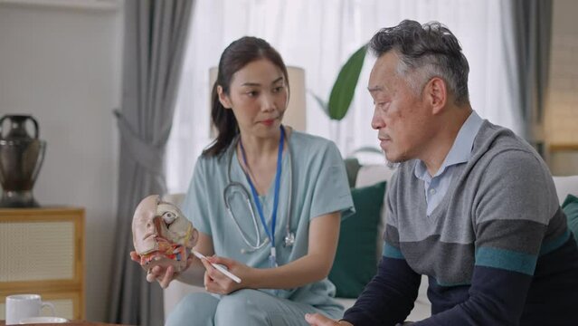 Doctor explain and discuss with senior asian patient of head and maxillary sinuses with Nasal and oral cavity anatomical model on sofa in living room during home visit.Doctor Taking Home Medical Care