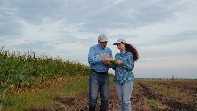 agriculture, farmers handshake field, business corn farm, farmer working tablet with partner, business handshake, farm worker, businessman, support, cooperation, sky, contract, cultivate, happy, men