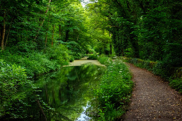 Footpath by a very green Cromford Canal in Whatstandwell near Matlock in Derbyshire, England
