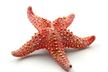 Isolated red starfish against a white backdrop. Generative Ai