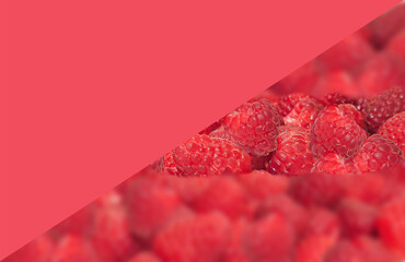 raspberries are clearly visible, raspberries are blurred and crimson in color