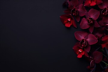 Black orchids and red tulips on a black background, still life, photography, dark, moody, elegant