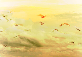 birds flying in the sunset. Artistic view of the sky