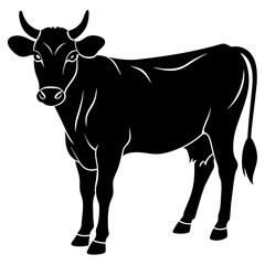     cow vector illustration
