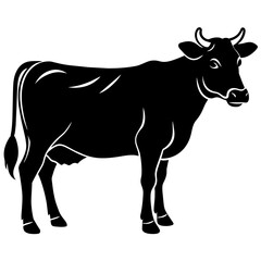     cow vector illustration
