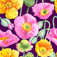 Seamless pattern of pink and yellow poppy flowers painted with watercolours on a purple background. Botanical collection of garden and wild plants. For fabric, sketchbook, wallpaper, wrapping paper.