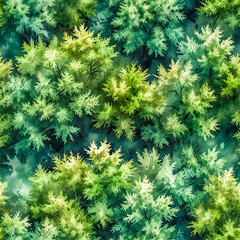 Top down view of illustrated trees - nature background