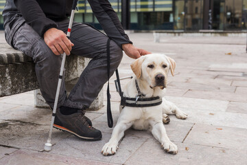 Male person sitting on the bench and gently petting a guide dog sitting next to his legs. Service...