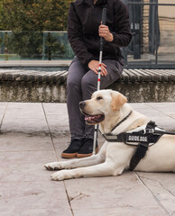 Blind or visually impaired woman resting with her guide dog on the bench on a city street. Support...