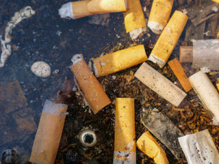 Cigarette butts