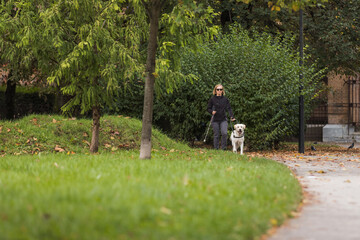 Visually impaired woman walking along city park with a guide dog assistance. Loyal companions for...
