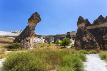 Pasabag, its famous fairy chimneys in Goreme Valley, Cappadocia - 778388403