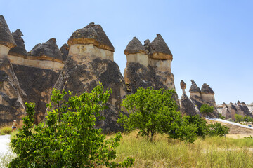Pasabag, its famous fairy chimneys in Goreme Valley, Cappadocia - 778388447
