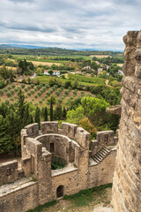 Architecture and vineyards in Carcassonne in the south of France